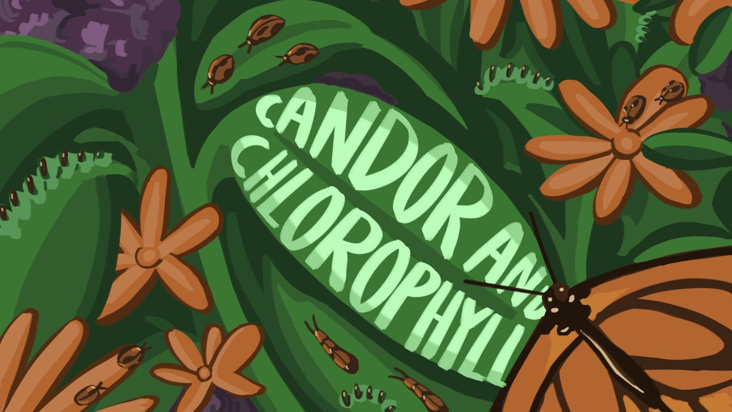 Candor and Chlorophyll, Agrawal