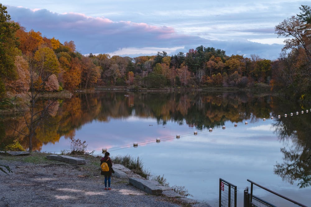 asocial-freshman-by-Claire-Li-Assistant-Photo-Editor