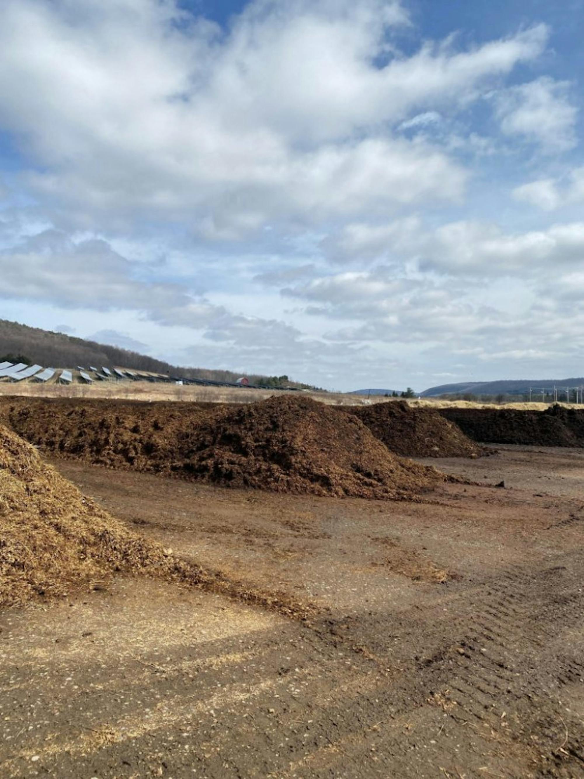 Pg-1-Beyond-Waste-by-Allyson-Katz-Sun-Contributor-2-scaled