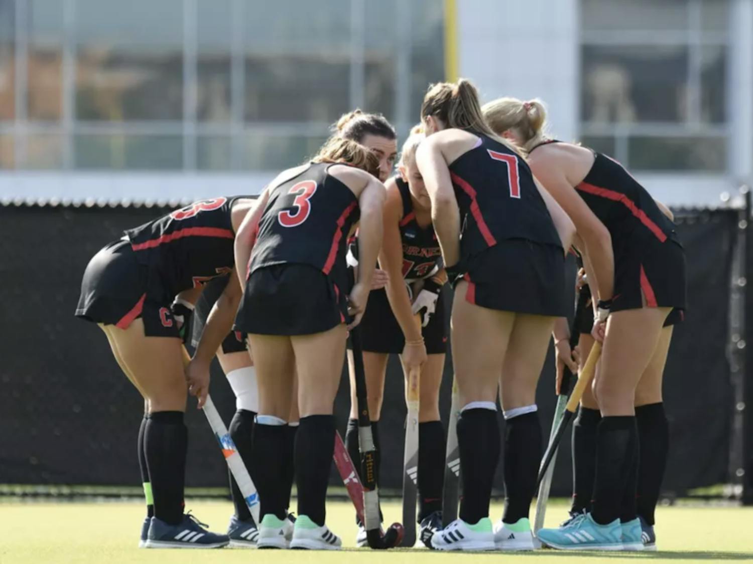 Screen-Shot-2024-09-25-at-7.31.37-PM