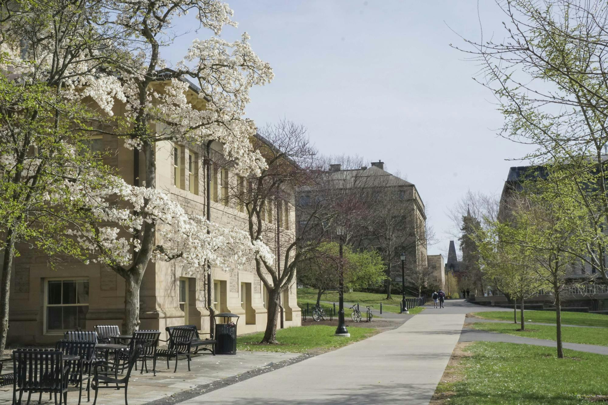 Spring Candids April 2025 by Sophia Romanov Imber-4.jpg