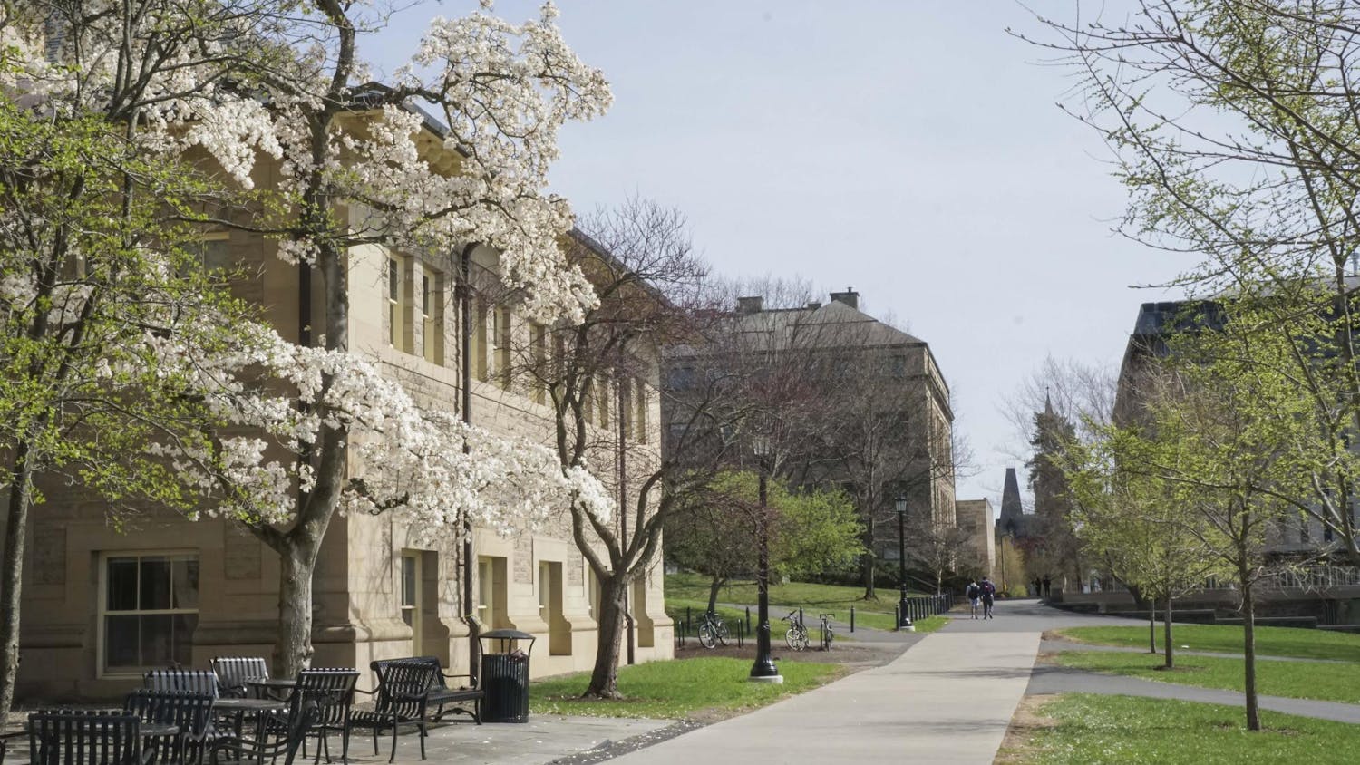 Spring Candids April 2025 by Sophia Romanov Imber-4.jpg