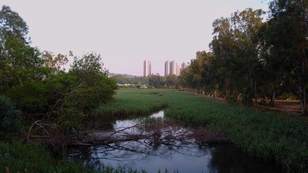 HONG_KONG_WETLANDS_10