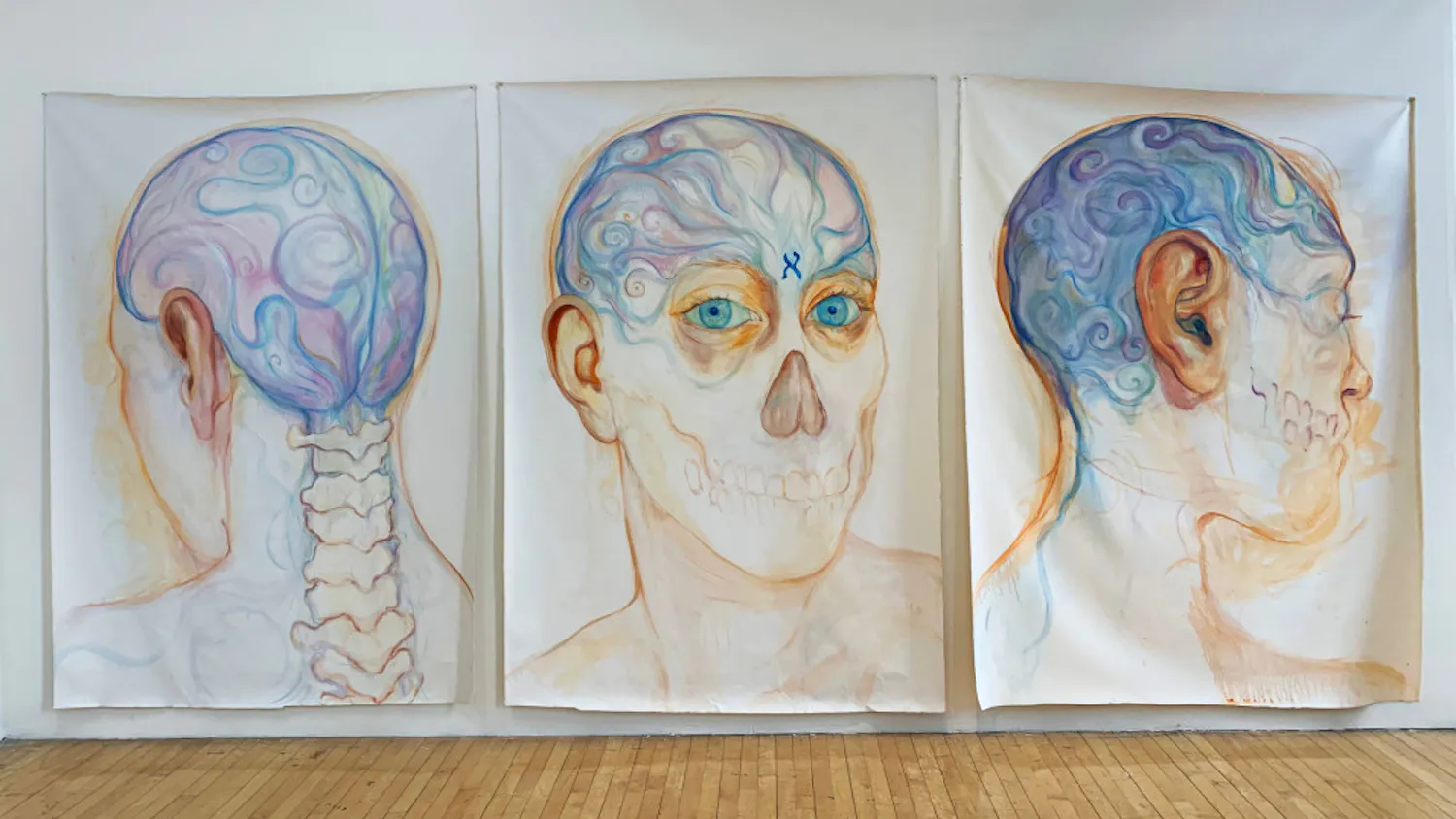 brains-install-shot