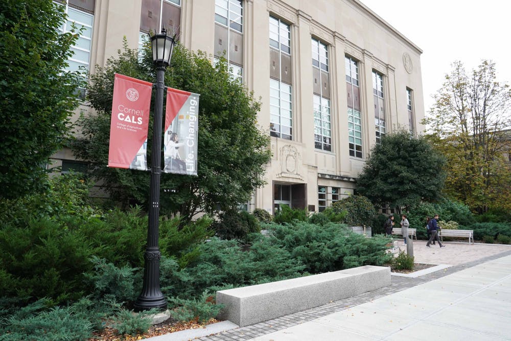 Pg-3-Sustainable-Landscapes