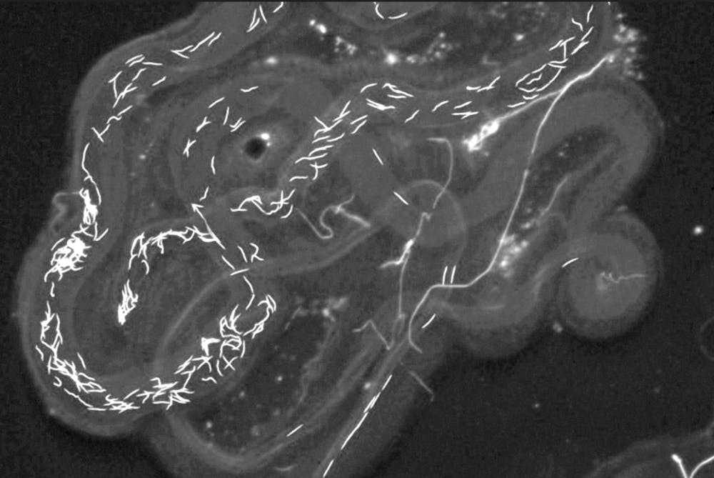 Screen-Shot-2022-05-04-at-7.29.43-PM