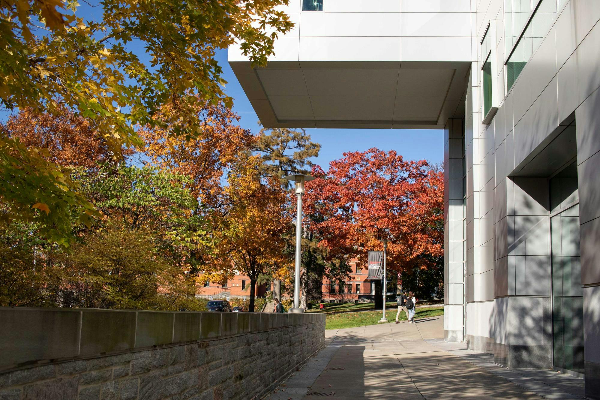 Donation Duffield by Hannah Rose.jpg