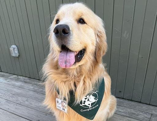 dug.jpg