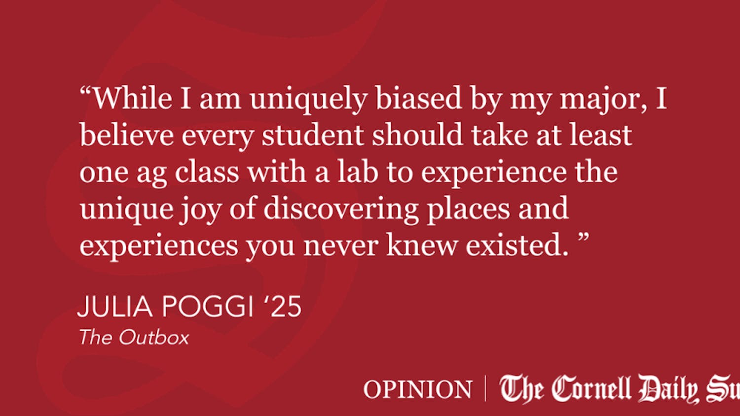 Quote-Block-Templates-7