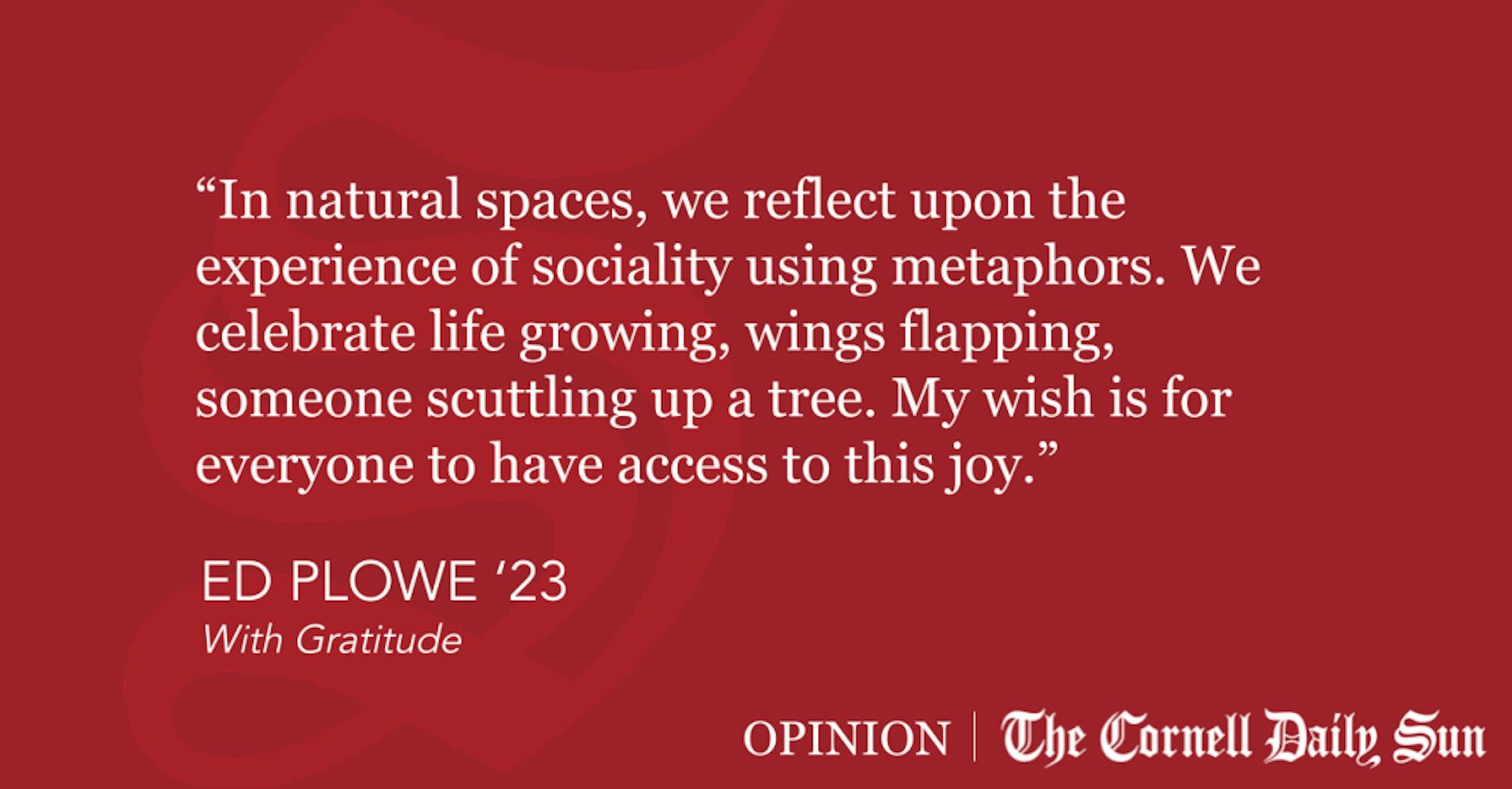 Quote-Block-Templates-2-3