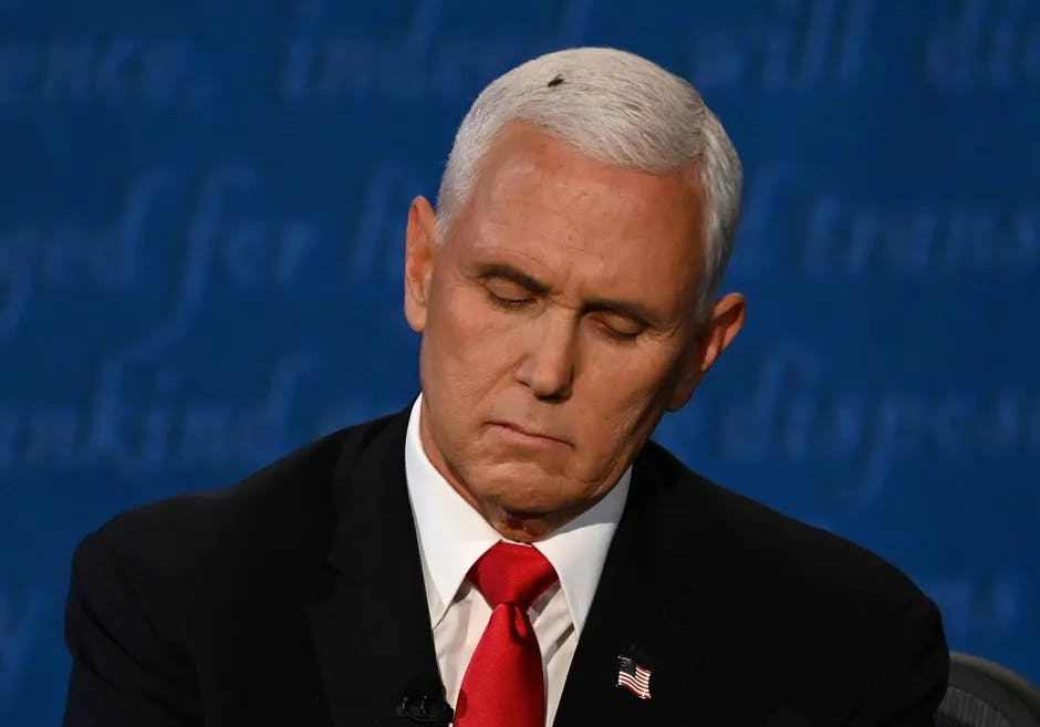 Picture-of-Mike-Pence-for-Gadfly-Article