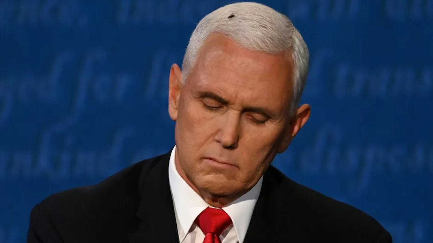 Picture-of-Mike-Pence-for-Gadfly-Article