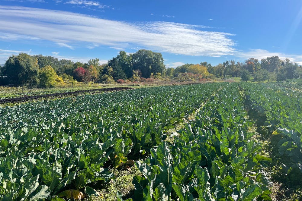 Pg-3-Farm-Grant-by-Julia-Senzon-News-Editor