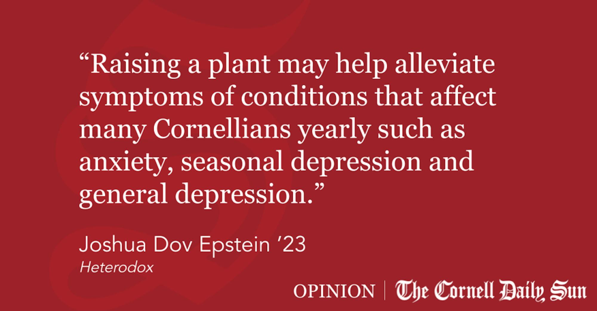 Quote-Block-Templates-15