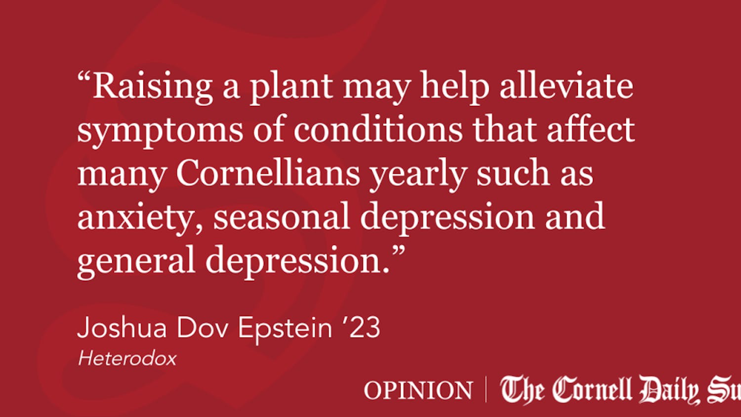 Quote-Block-Templates-15