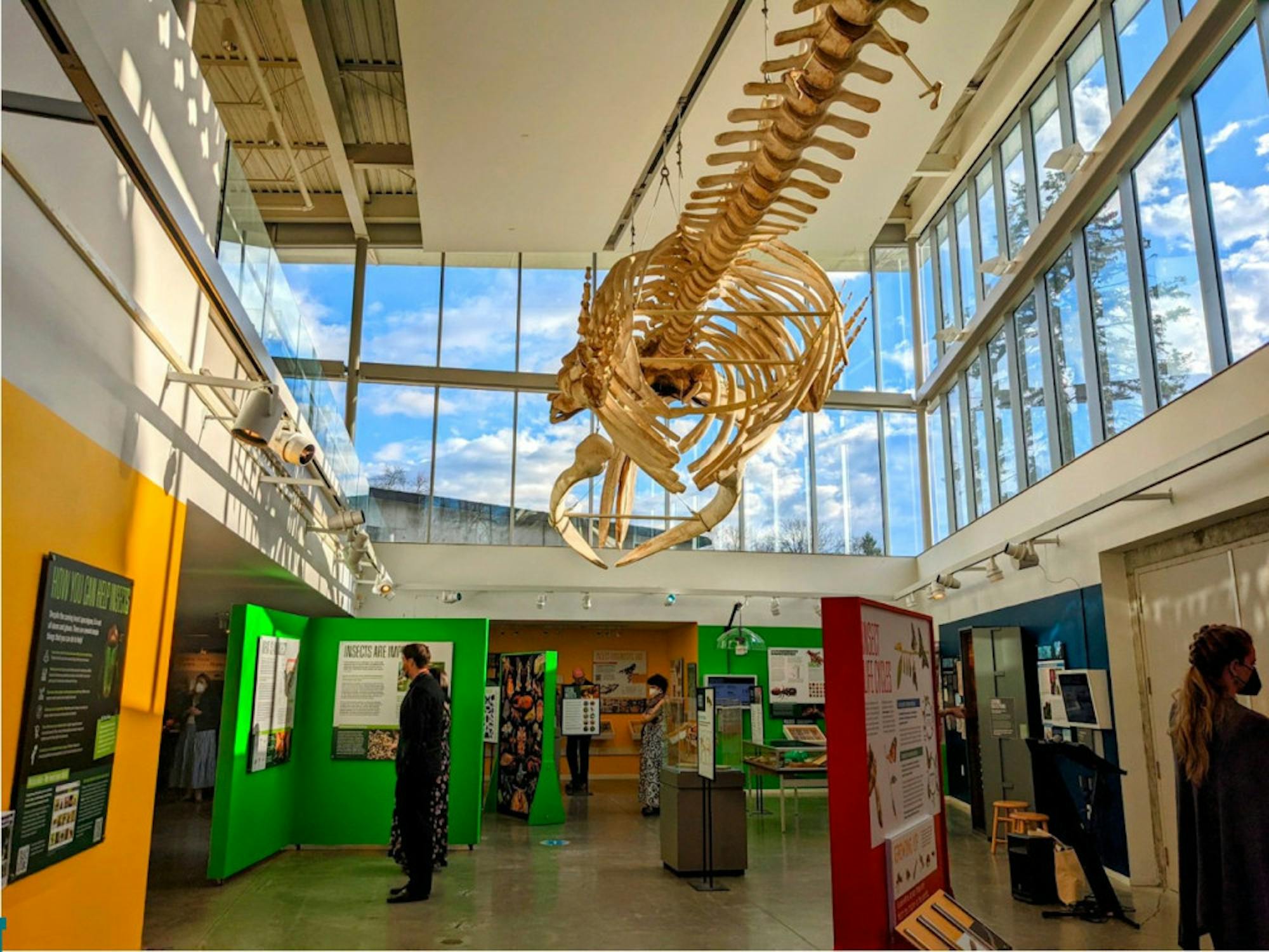 museum-of-the-earth-1