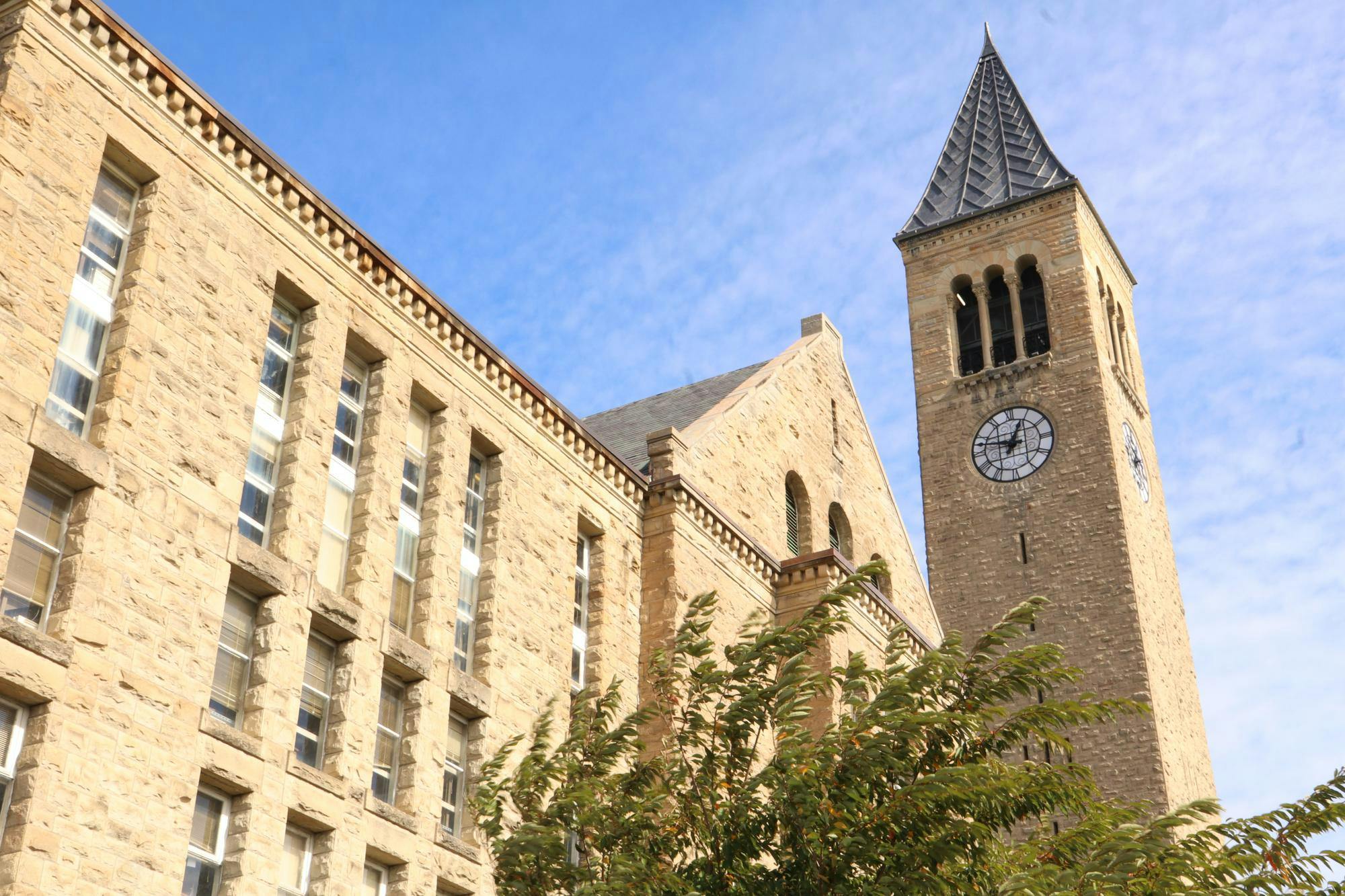 medical school applicants