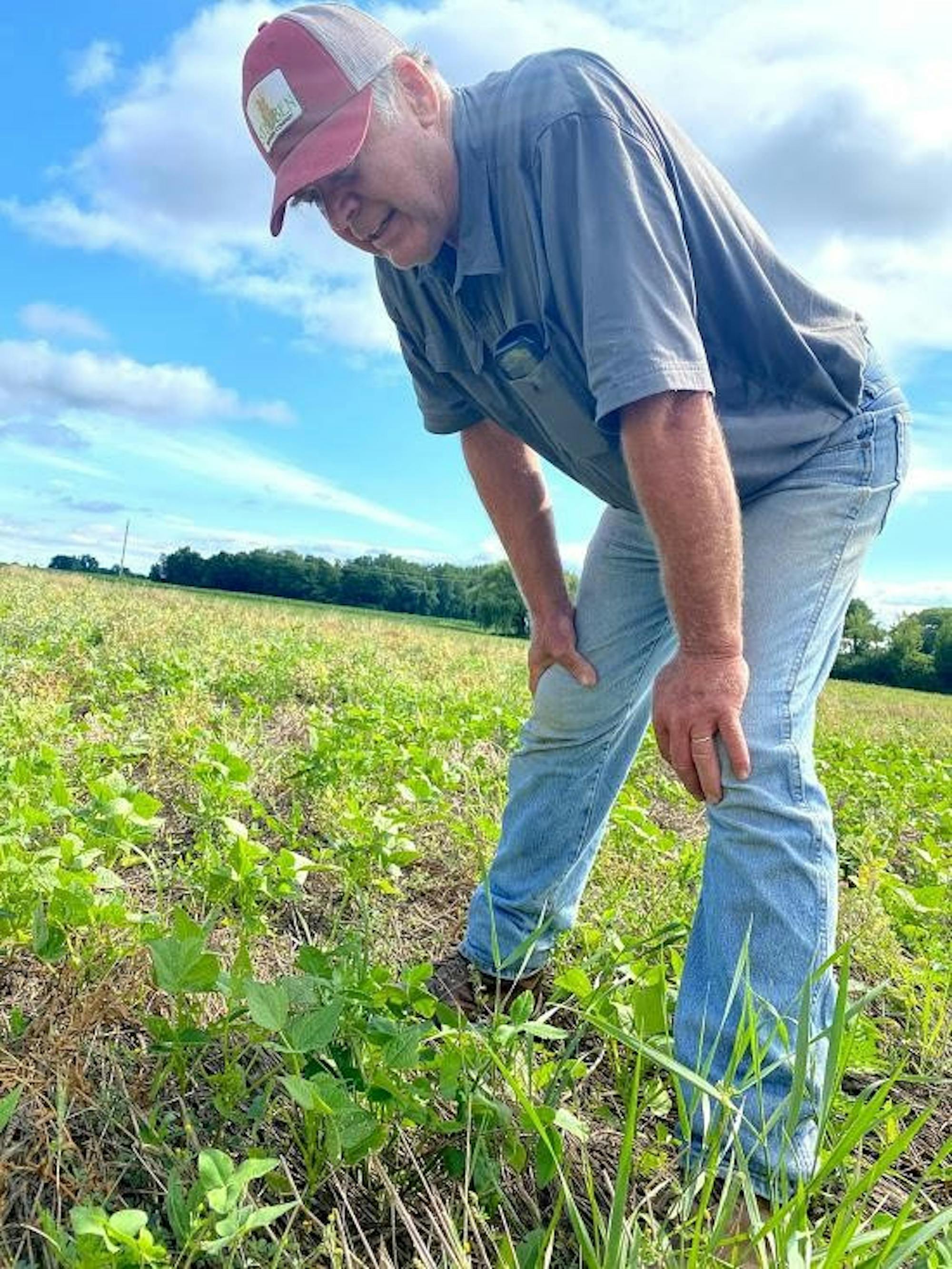 Spending the afternoon with organic farmer Klass Martens (Jack Waxman, Staff Writer)