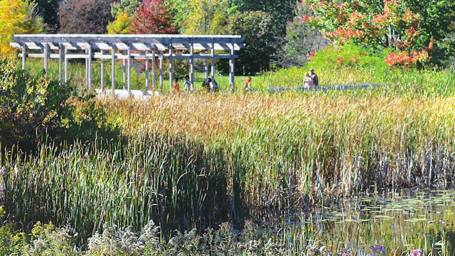 Screen-Shot-2016-02-03-at-1.00.11-AM