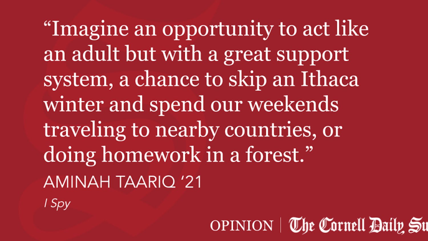 Quote-Block-Templates-16-1