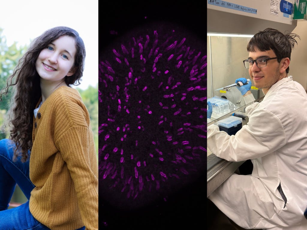 Summer Undergraduate Research: Labwork in Sunny Ithaca