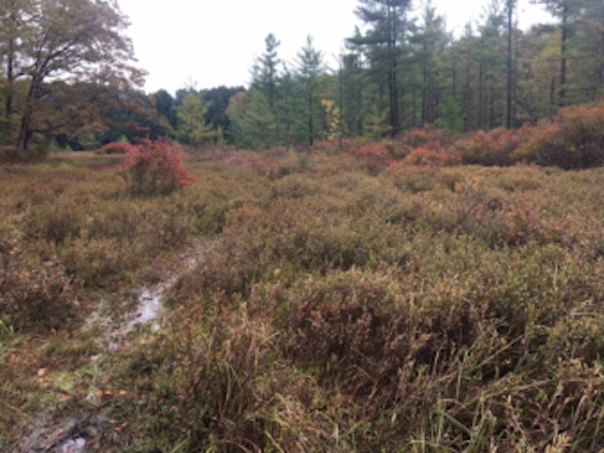 Jack Waxman / Sun Staff Writer