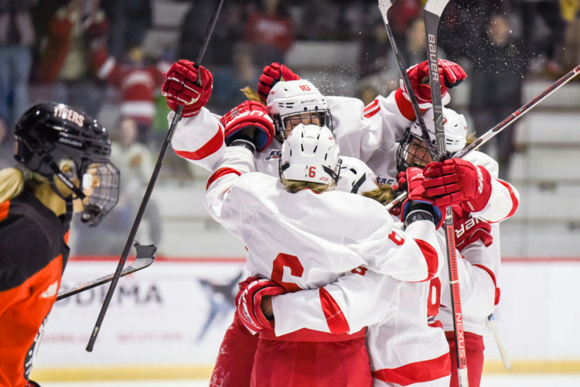 Junior forward Joie Phelps, 6, celebrates after scoring a wrap-around goal to put the Red up 3-1 in the second period at the game against Princeton at Lynah Rink on November 2nd, 2019. (Boris Tsang/Sun Photography Editor)