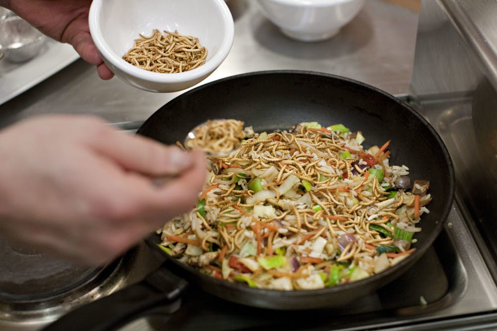 DUTCH_EDIBLE_INSECTS_3-1-scaled