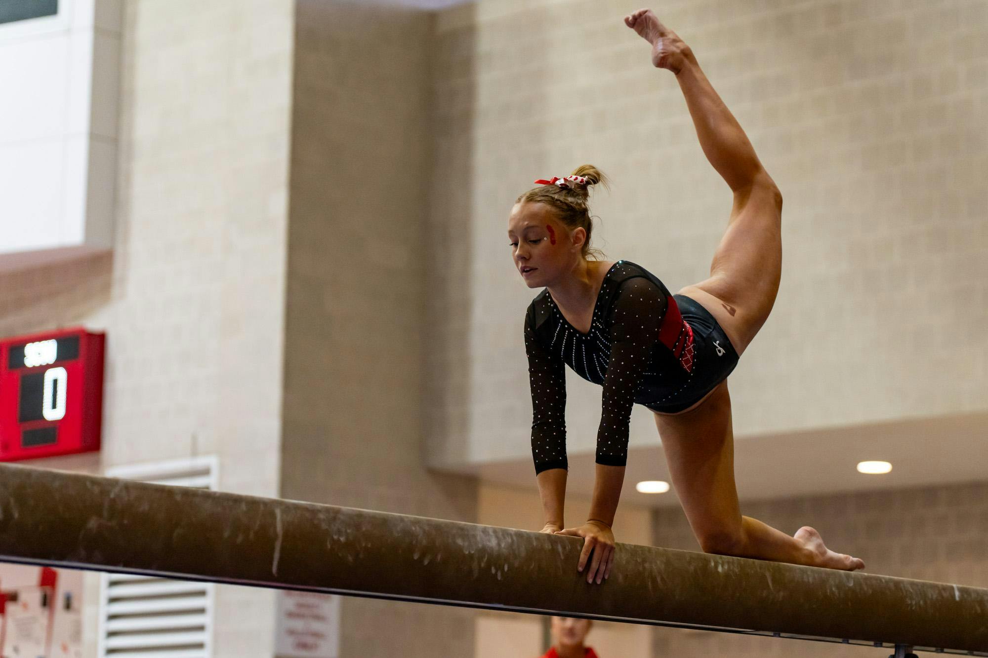 Copy of DSC00230.jpg