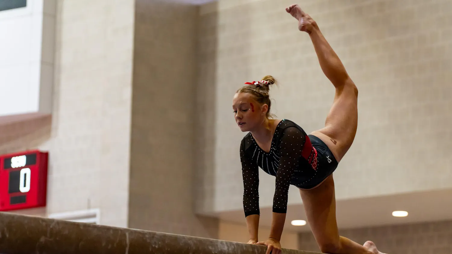 Copy of DSC00230.jpg