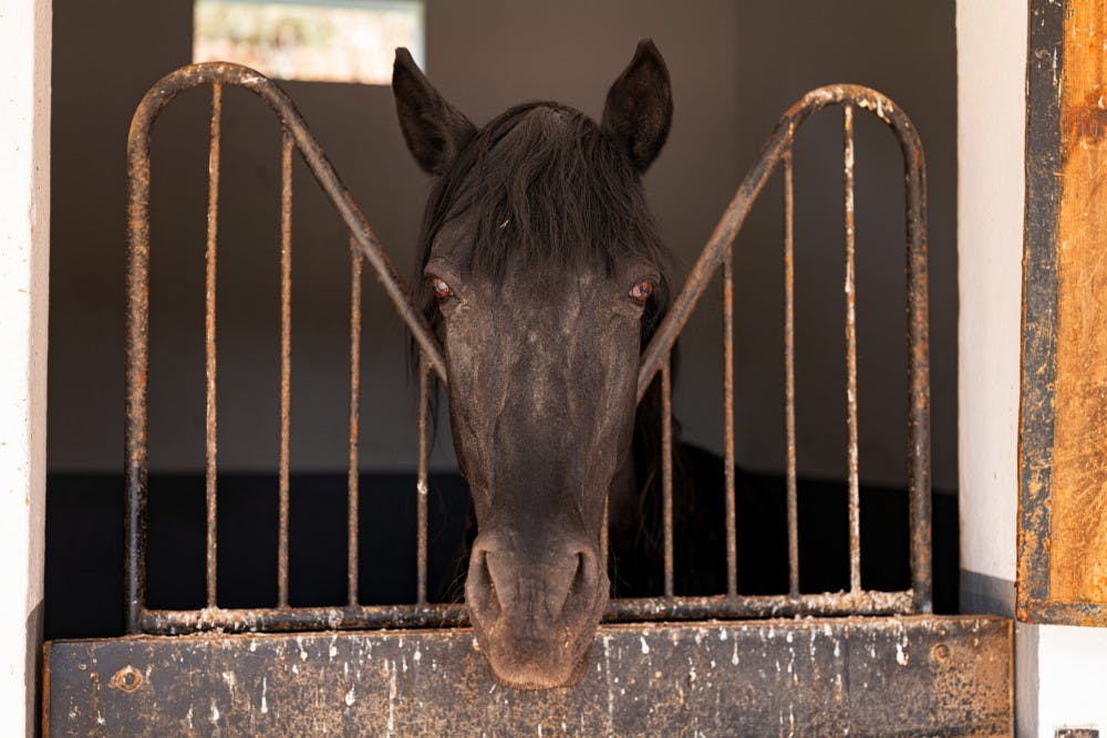 36-HOURS-MENORCA-4-scaled