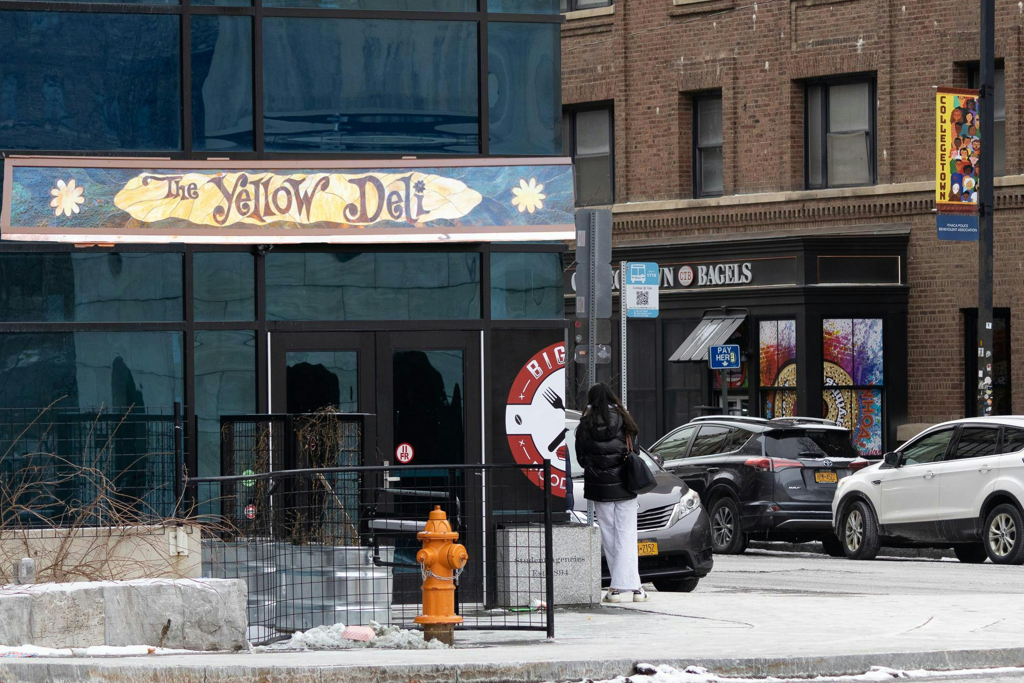 4-20 sunbursts yellow deli.jpg