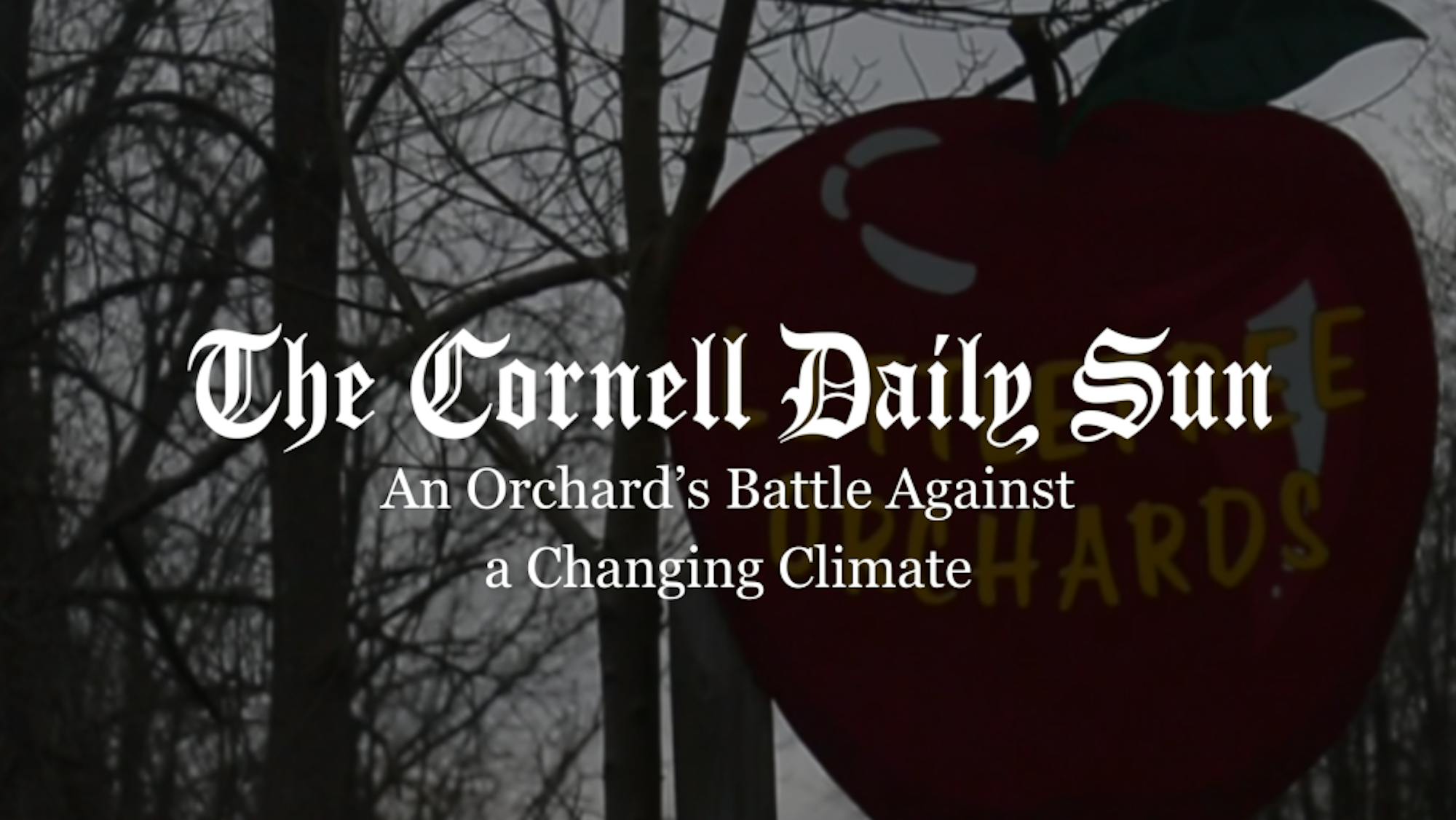 Youtube-Thumbnails-9