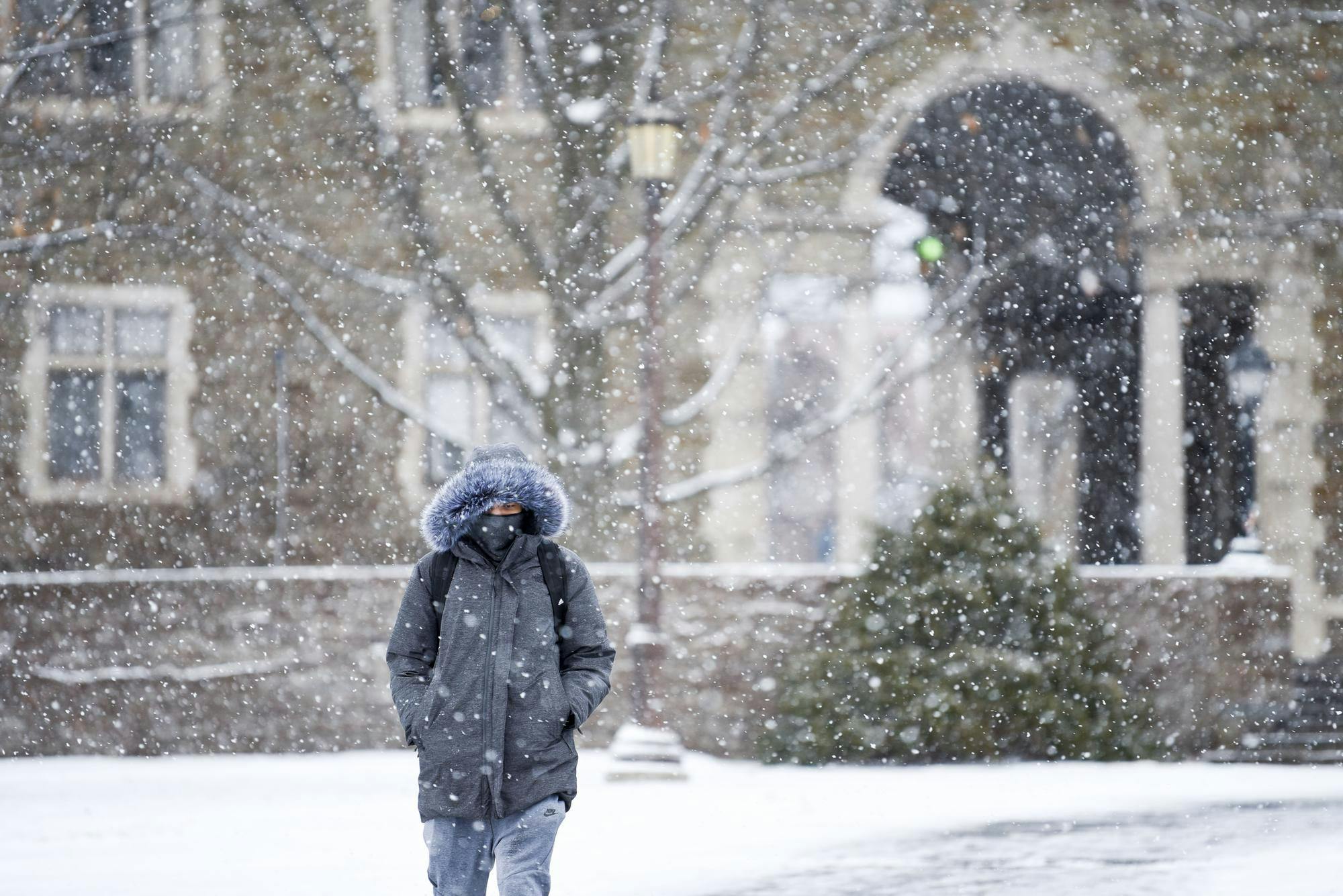 Winter Storm Snow.jpg