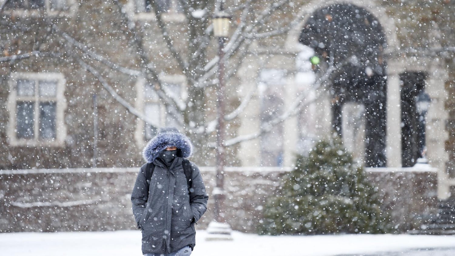 Winter Storm Snow.jpg