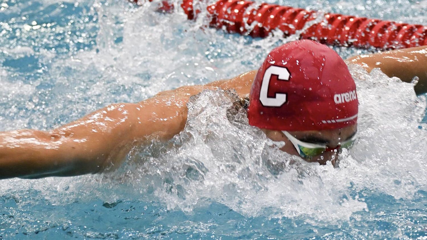 swimdive3-3.jpg