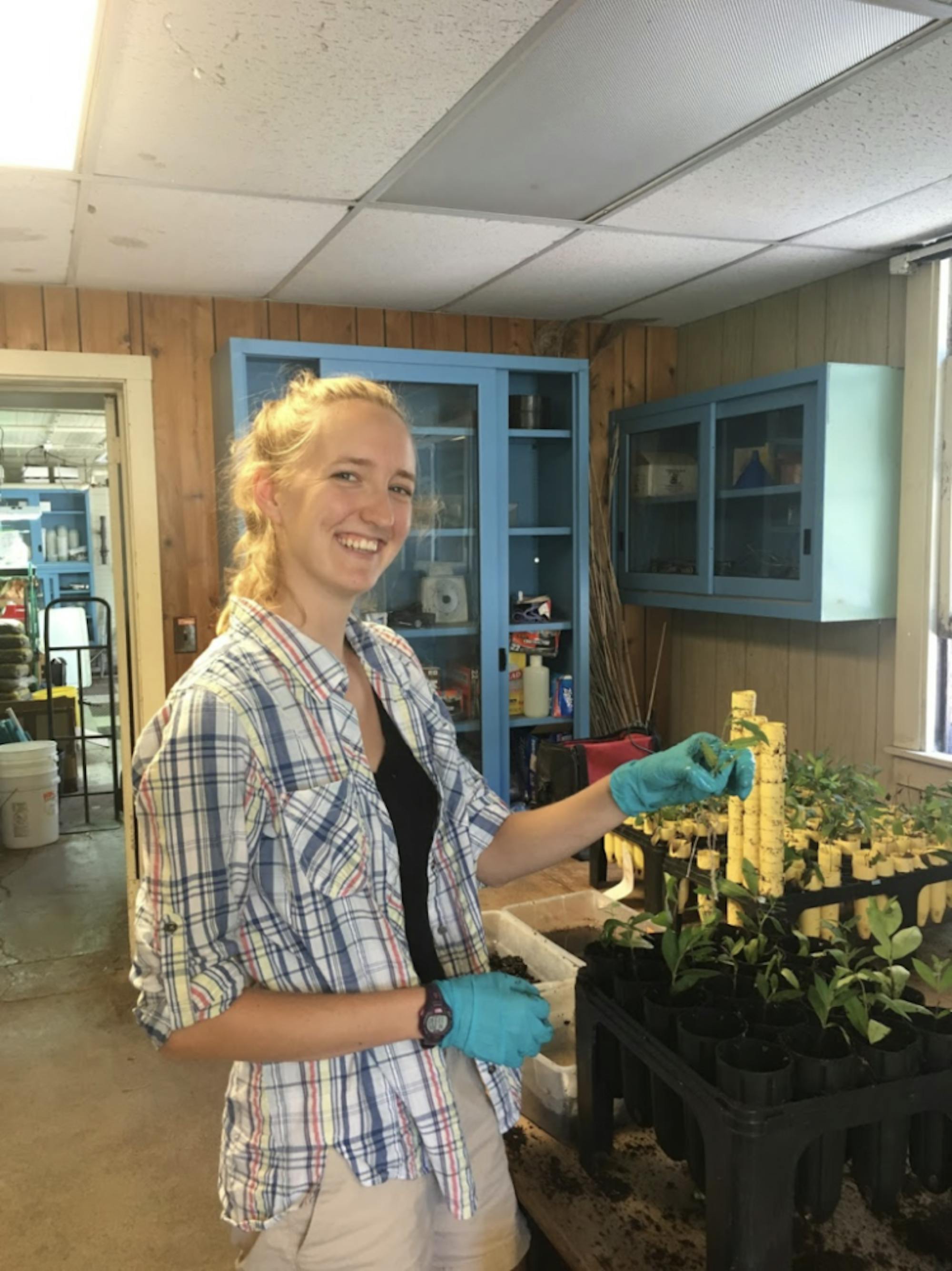 Abby Bezrutcyzk '20 researching in the Blossey Lab.