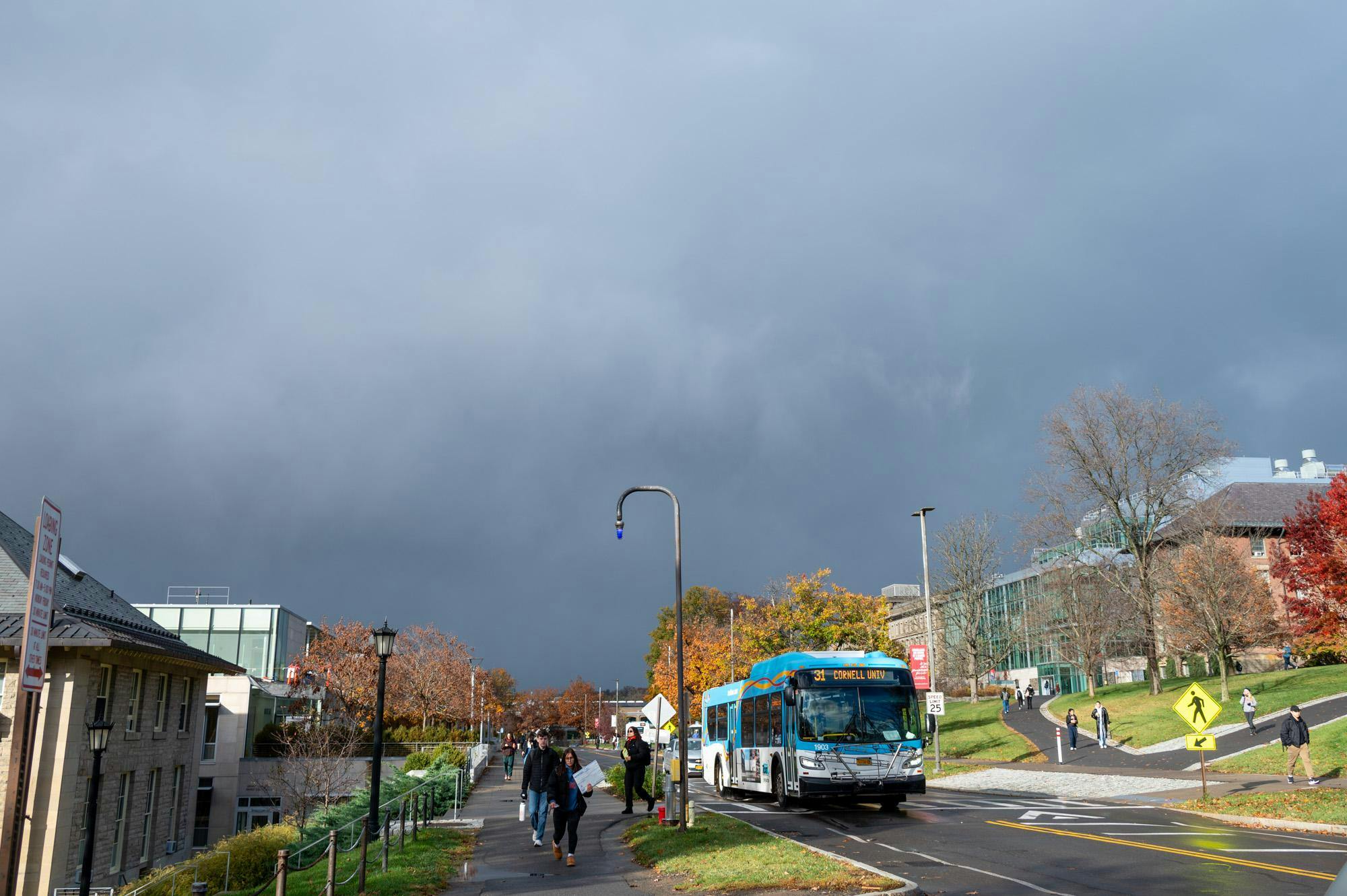 Copy of DSC_9280.jpg