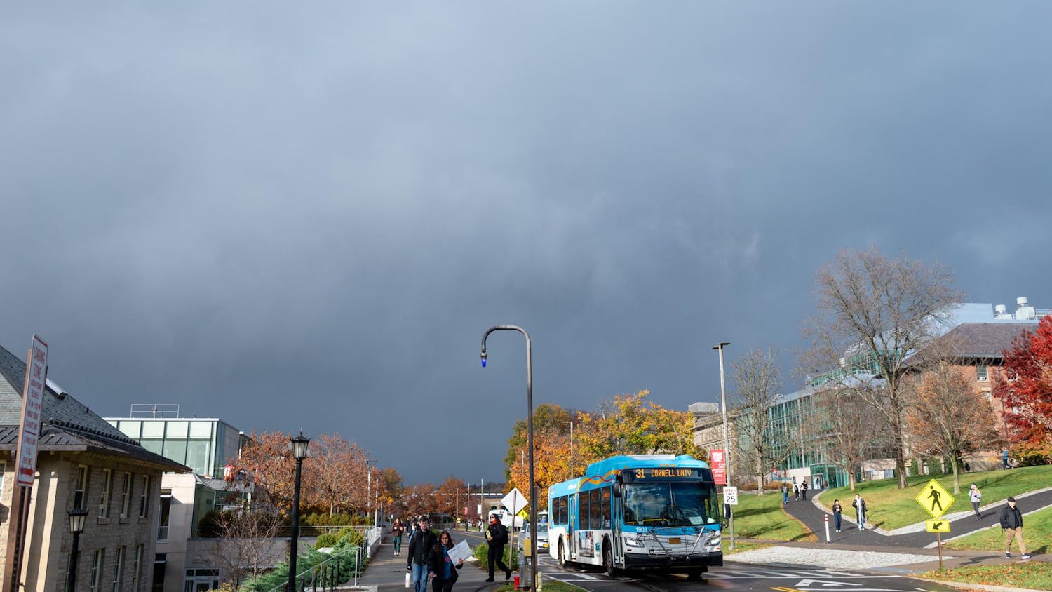 Copy of DSC_9280.jpg