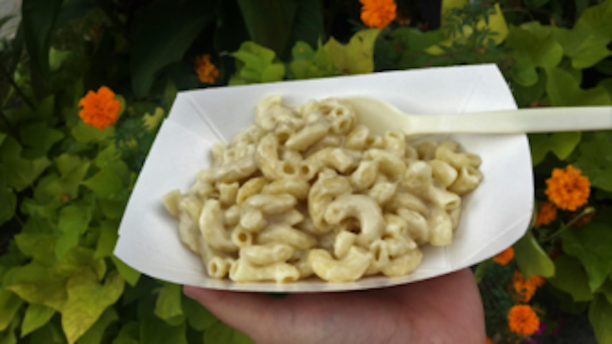 Mikayla Kuykendall / Sun Staff Writer