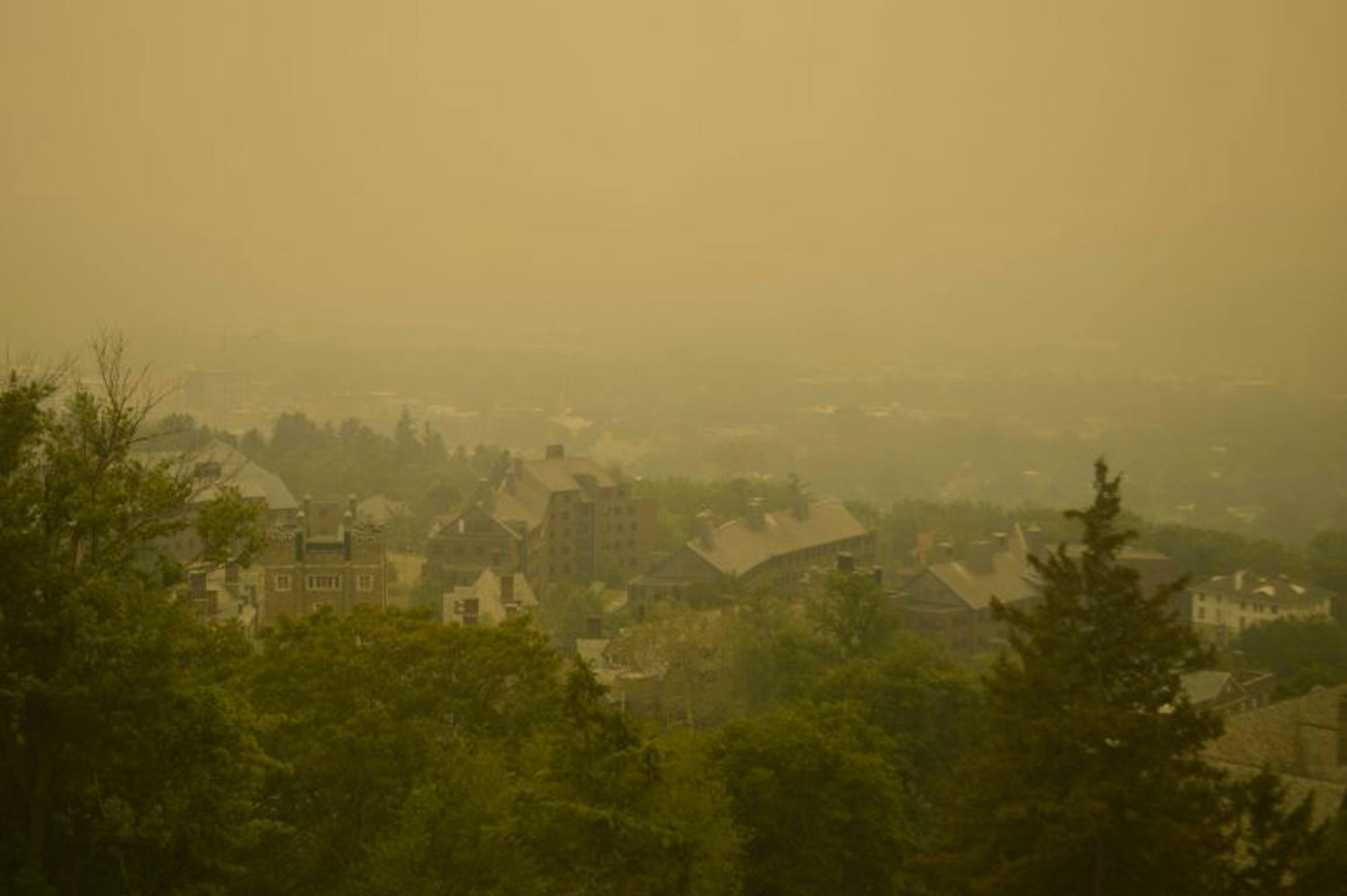 DSC_2474-copy-scaled