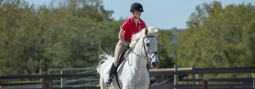 Pg-16-Equestrian-Cornell-Athletics
