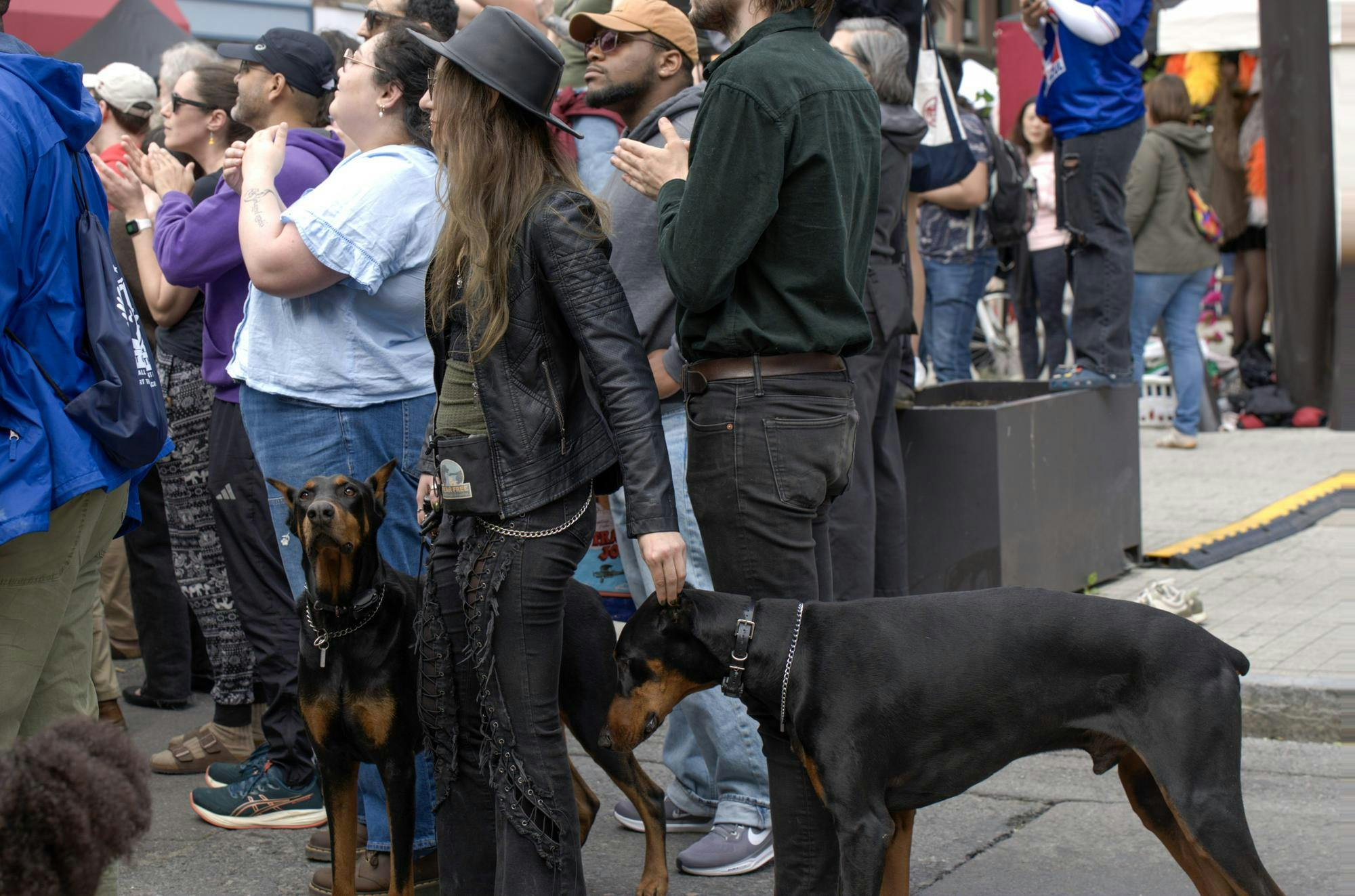 Dogs at Ithaca Fest