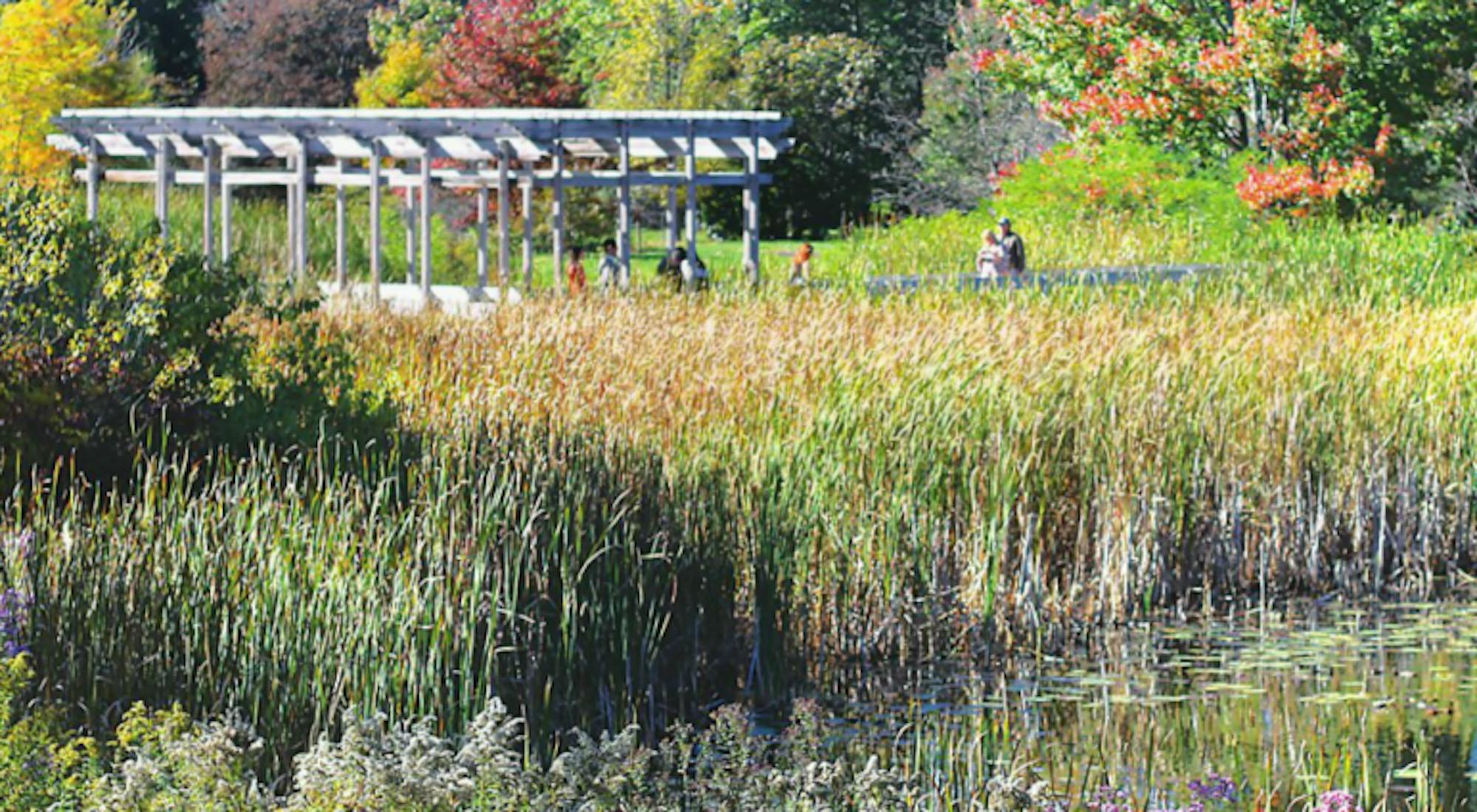 The Board of Trustees has voted to rename the Plantations the Cornell Botanic Gardens.