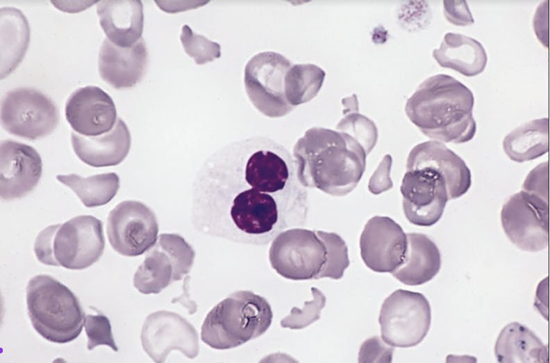 Screenshot-2023-09-13-at-19.02.02