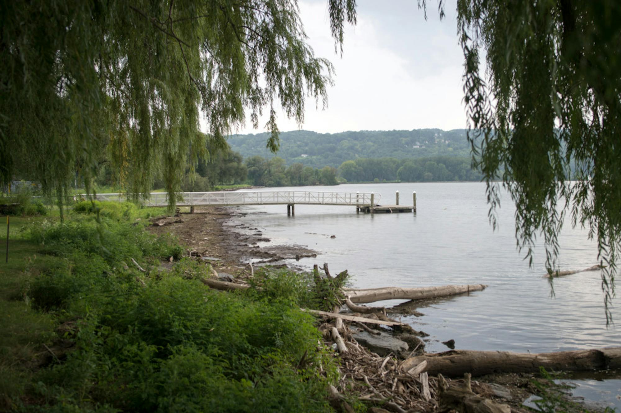 Pg-1-Cayuga-by-Cameron-Pollack