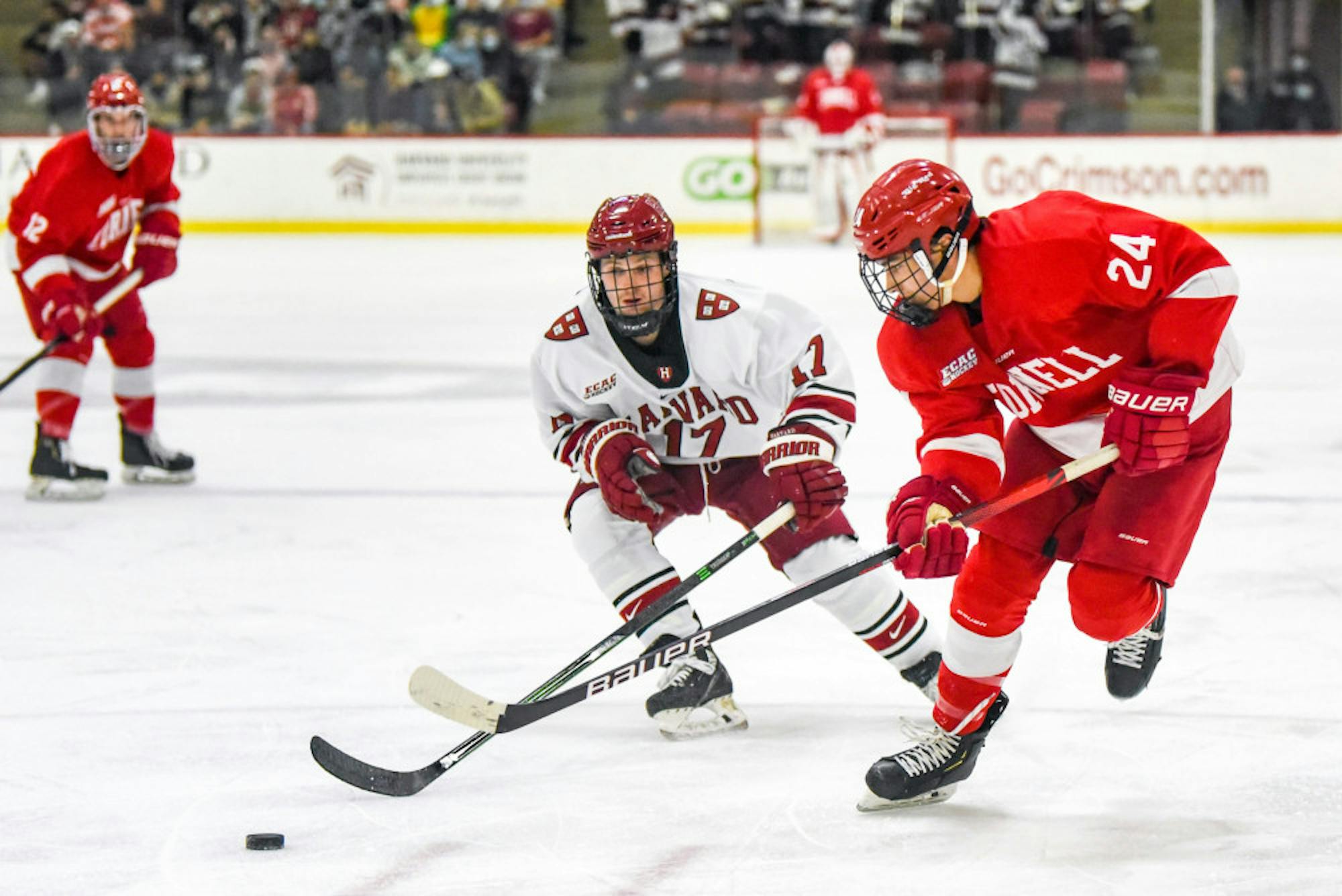 BYT-HarvardHockey-16-scaled