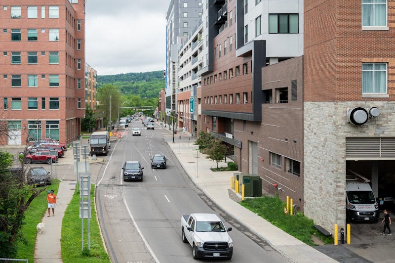 Common Council Votes to End Ithaca’s Contract With Flock Safety, Keep ‘Free Gaza’ on Green Street Mural