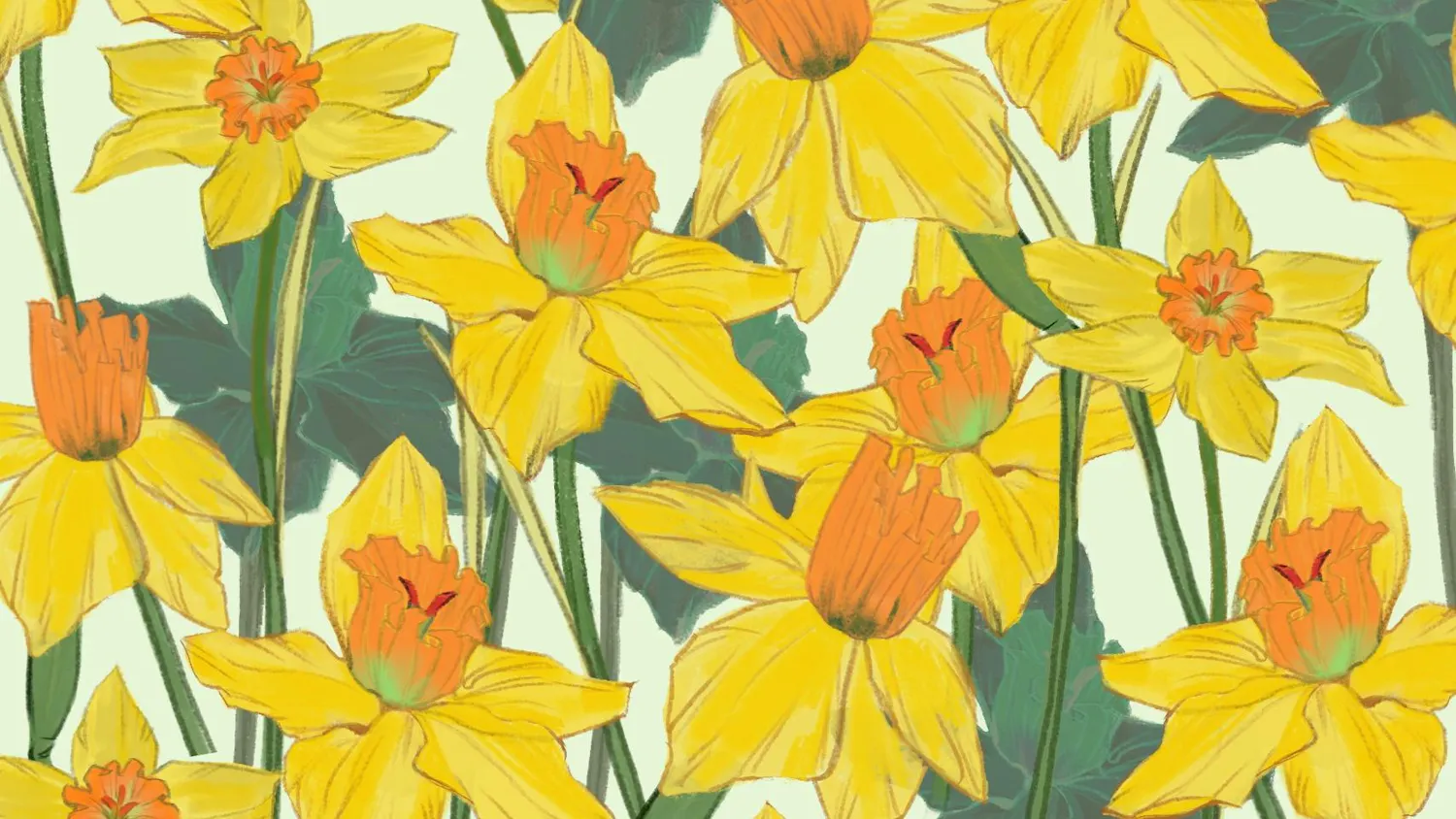 Daffodils
