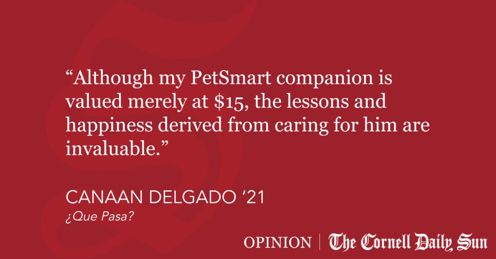 Quote-Block-Templates-6-4